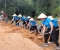 Trường Mầm non Đồng Tâm tham gia lao động cộng sản đắp lề đường bê tông